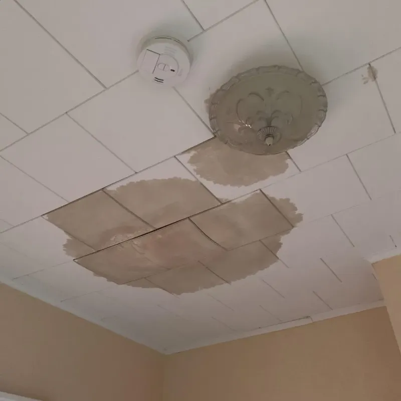 Ceiling Water Damage Repair in Ledyard, CT