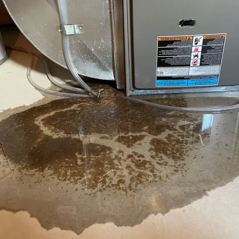 Pipe Burst and Leak Restoration in Ledyard, CT