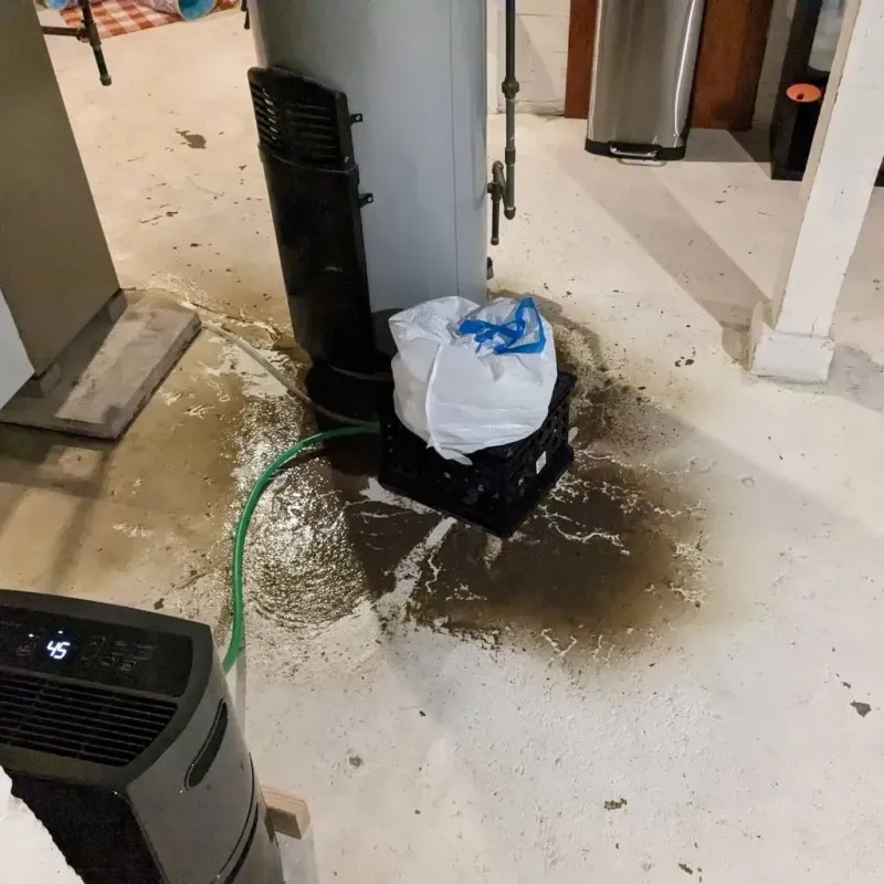 Sewage Backup Cleanup Service in Ledyard, CT